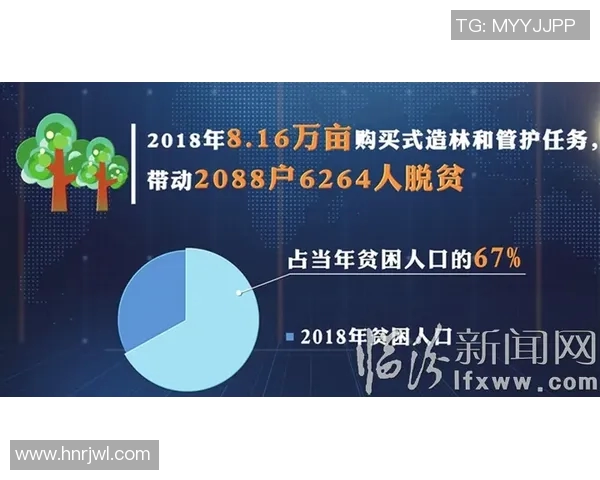 北京飞盘队快攻革新之路探索与实践的深度分析与启示