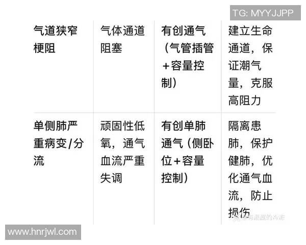 北京攀岩队比赛经验分析与数据解读探讨其表现提升的关键因素